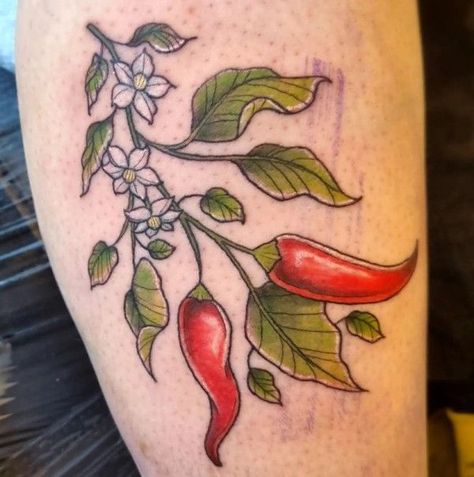 Serrano Pepper Tattoo, Chili Pepper Tattoo Traditional, Chilean Tattoo Ideas, Chili Plant Tattoo, Pepper Plant Tattoo, Jalapeno Tattoo, Chile Pepper Tattoo, Chilli Pepper Tattoo, Chilli Tattoo