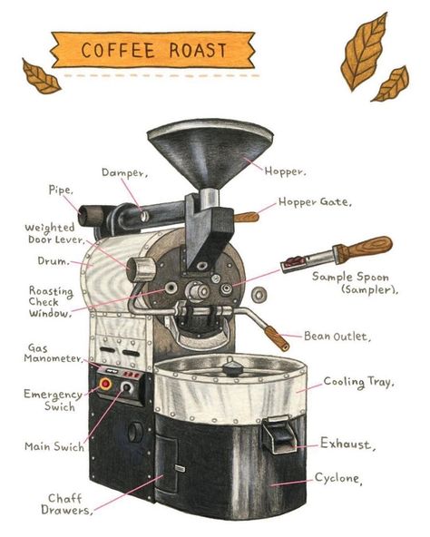 Valueble knowledge for any coffee lover Coffee Roaster Illustration, Coffee Roasting Illustration, Coffee Machine Illustration, Cafes Aesthetic, Roastery Coffee, Coffee Education, Machine Illustration, Coffee Roasting Machine, Coffee Study