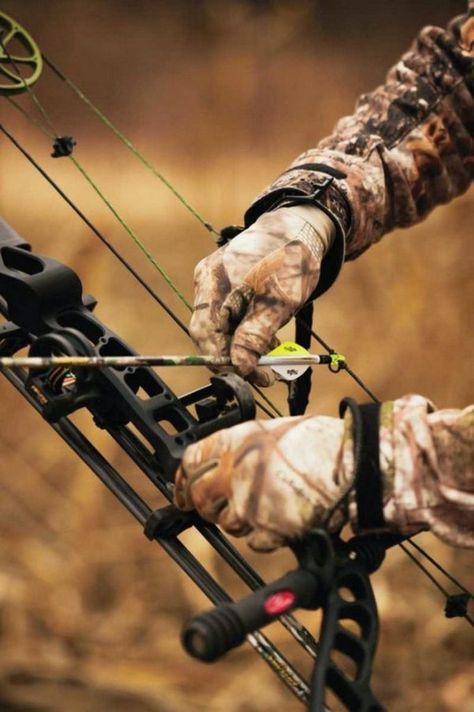 Archery Photography, Pse Archery, Seasonal Changes, Traditional Bow, Trophy Hunting, Bowfishing, Positive Images, Archery Hunting, Bow Hunting