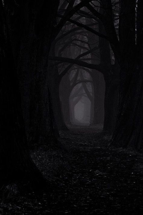 Dark Forest Aesthetic, Dark Castle, Gothic Wallpaper, Dark Nature Aesthetic, Dark Phone Wallpapers, Dark Pictures, Beautiful Dark Art, Dark Gothic, Fantasy Aesthetic