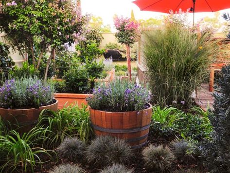 Wine Barrel Garden, Estate Grounds, Simple Landscape Design, Veggies Garden, Strawberry Food, Raised Planters, Wine Barrel Planter, Best Patio Umbrella, Exterior Garden