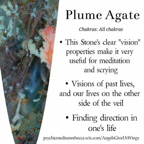 Verdite Stone Meaning, Agate Types, Stone Meanings, Sacred Well, Spiritual Mentor, Agate Meaning, Earth Gift, Plume Agate, Crystal Properties