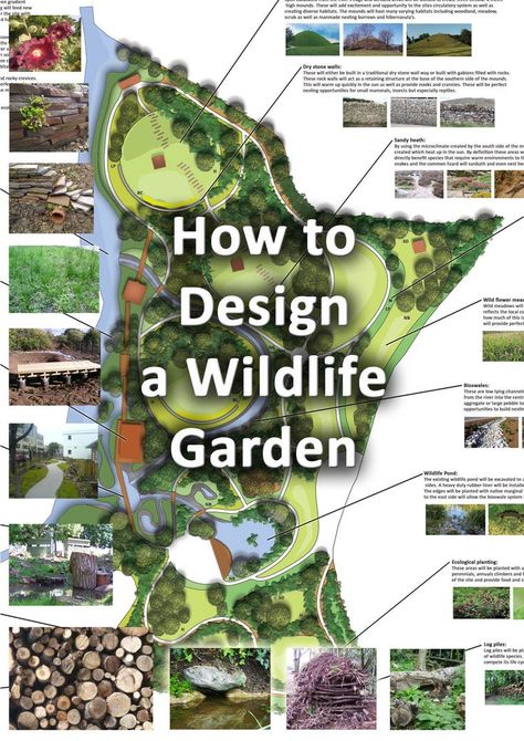 A wildlife garden design with a gallery of wildlife garden features Wildlife Garden Design, Food Forest Garden, Habitat Garden, Wildlife Garden, Permaculture Gardening, Garden Steps, Garden Design Plans, Wildlife Gardening, Forest Garden