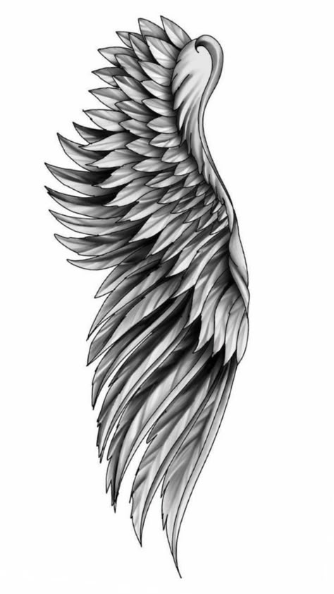 Wing Leg Tattoo, Angel Wings Tattoo Stencil, Forearm Wing Tattoo, Wing Tattoo Arm, Side Back Tattoos, Arm Wings, Wing Ideas, Eagle Wing Tattoos, Illusion Tattoo