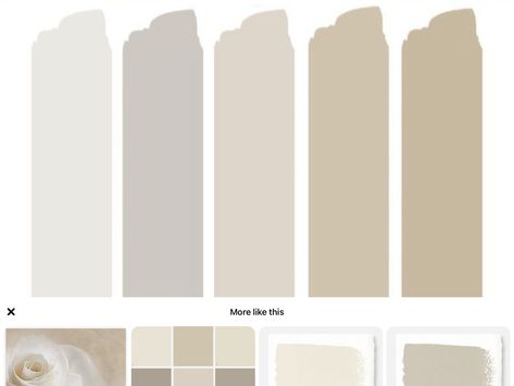 Vanilla Latte Color Wall Living Room, Vanilla Living Room, Vanilla Latte Color Wall, Vanilla Latte Color, Living Room Inspiration Grey, Wall Colours, Color Wall, Vanilla Latte, Perfume Lover