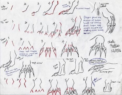 Dragon Paws, Draw A Dragon, Dragon Poses, Dragon Anatomy, Dragon Sketch, Creature Drawings, Concept Art Drawing, Dragon Artwork, Dragon Drawing