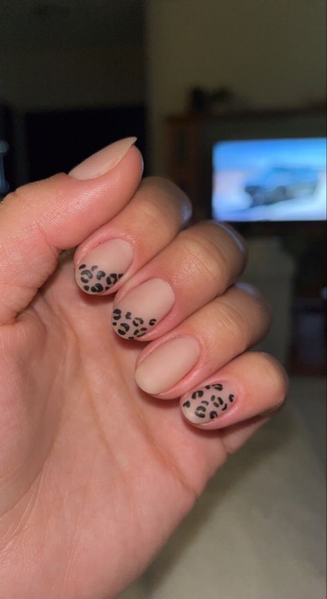 Short Nail Designs Lepord Print, Short Leapord Nails, Hoco Inspo, Leopard Print Nails, Print Nails, Leopard Nails, Short Nail Designs, Nails Art, Short Nails