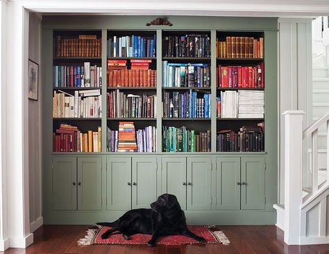 Color-coordinate your library. | Photographer: Ted Yarwood Silver Sage Paint, Game Shelves, Restoration Hardware Paint, Beautiful Bookshelf, Bookshelf Inspiration, Silver Sage, Shelf Design, Home Library, Book Shelf