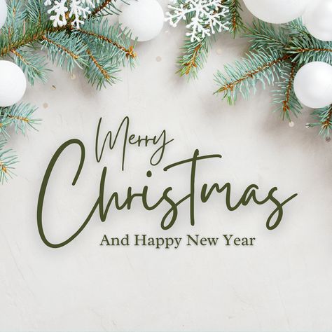 #FeelingFestive Christmas Wish Message Merry Christmas Gif Images, Christmas Post Design, Merry Christmas Wishes Messages, Christmas Tree Gif, 2024 Wishes, Christmas Tree Funny, Festive Greetings, Christmas Wishes Messages, Traditional Christmas Cards