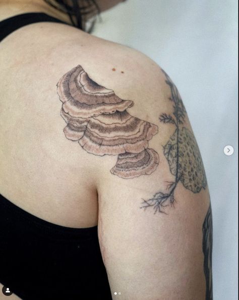 @statlew_ on instagram, don't remove credit Clementine Tree Tattoo, Turkey Tail Mushroom Tattoo, June Tattoo, Harmony Tattoo, Tattoo Dream, Japanese Leg Tattoo, River Tattoo, Wood Tattoo, Gothic Tattoos