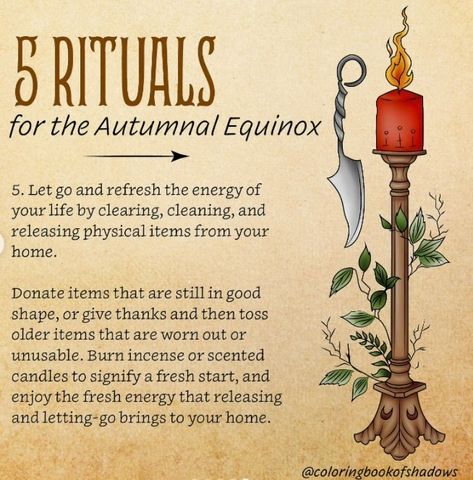 Autumn Equinox Ritual, Questions To Ponder, Cinnamon Tea, Autumnal Equinox, Autumn Crafts, Give Thanks, Scented Candles, Bring It On, Health