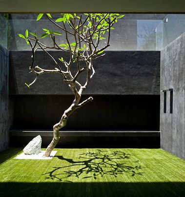 Modern Zen Garden, Indoor Zen Garden, Zen Garden Design, Small Courtyard Gardens, Courtyard Gardens Design, Minimalist Garden, Small Courtyards, Grasses Garden, Contemporary Garden