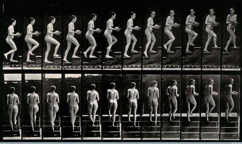 Eadweard Muybridge/woman walking up stairs and turning Walking Stairs, Sequence Photography, How To Draw Stairs, Walking Up Stairs, Walking Animation, Up Stairs, Eadweard Muybridge, Sequencing Pictures, Wellcome Collection