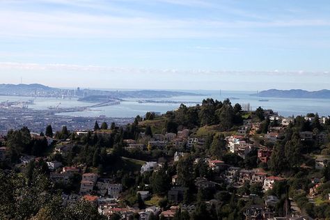 Head Up Into The Oakland Hills Berkeley Hills, Oakland Hills, Oakland California, East Bay, San Fran, California Homes, San Francisco Bay, San Francisco Bay Area, Seattle Skyline