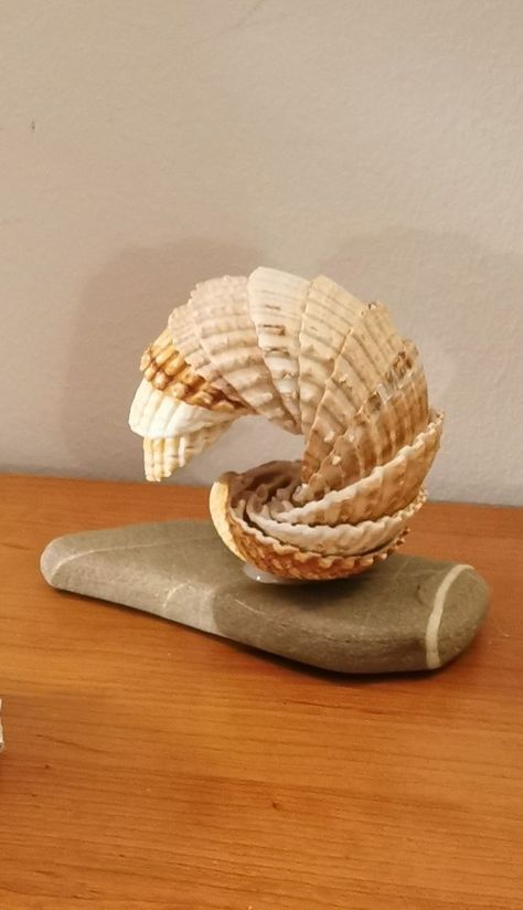 Conch Shell Decor Ideas, Olive Shell Crafts, Seashell Art Diy, Sea Shells Diy, Art Coquillage, Oyster Shell Crafts, Driftwood Art Diy, Seashell Projects, Seashell Wall Art