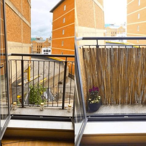 Reed Fencing Ideas, Balcony Bamboo, Bamboo Privacy Fence, Reed Fencing, Bamboo Fencing, Balcony Privacy Screen, Bamboo Privacy, Bamboo Screening, Balcony Privacy