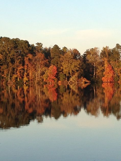 Pretty Fall Day on Lake Prince....Suffolk, Va Summerville Lake Wv, Virginia Coastal Towns, The Darkest Minds Series, Suffolk Va, Sandbridge Beach Va, Smith Mountain Lake Virginia, Holden Beach, Busch Gardens, The Darkest Minds