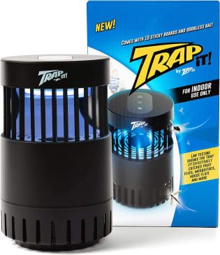 Trap It! Insect Catcher Amazon Launch | Apartment Therapy Catch Fruit Flies, Indoor Fly Trap, Mosquito Catcher, Diy Fly Trap, Bug Catcher, Bug Trap, Bug Activities, Fly Zapper, Bait Trap