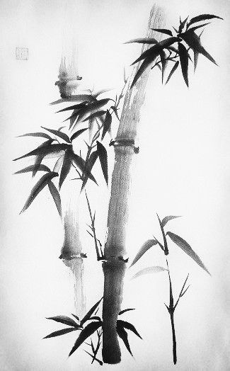 Bamboo Art Painting, Japanese Background, Japanese Ink Painting, Random Sketches, Zen Painting, Painted Bamboo, Sumi E Painting, Chinese Art Painting, Bamboo Art