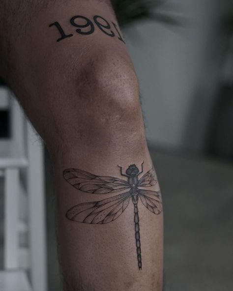 tattoo artist @lazybunny_tattoo on instagram Male Dragonfly Tattoo, Dragon Fly Tattoo Thigh, Dragon Fly Knee Tattoo, Dragonfly Calf Tattoo, Dragonfly Tattoo On Leg, Large Dragonfly Tattoo, Dragon Fly Leg Tattoo, Dragonfly Tattoo Above Knee, Dragonfly Shin Tattoo