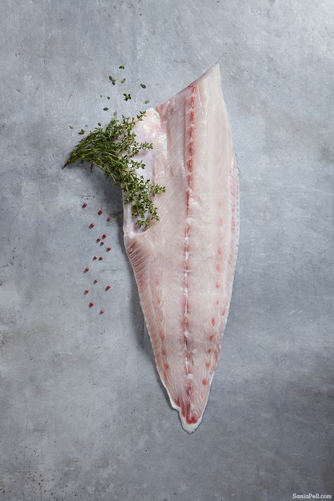 Raw Seafood Photography, Fresh Seafood Photography, Raw Fish Photography, Seafood Photography Food Styling, Fish Photoshoot, Cobia Fish, Fish Food Photography, Meat Photography, Website Photoshoot