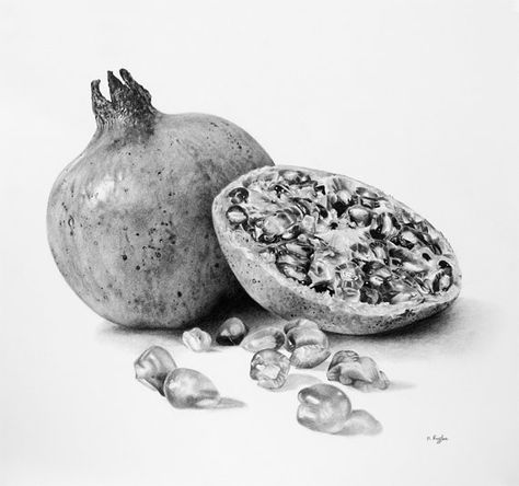 pomegranate drawing Fruit Drawing Pencil, Pomegranate Drawing, Drawing Fruit, Fruit Sketch, Fruit Drawing, Vegetable Drawing, Fruits Drawing, Fruit Picture, Object Drawing