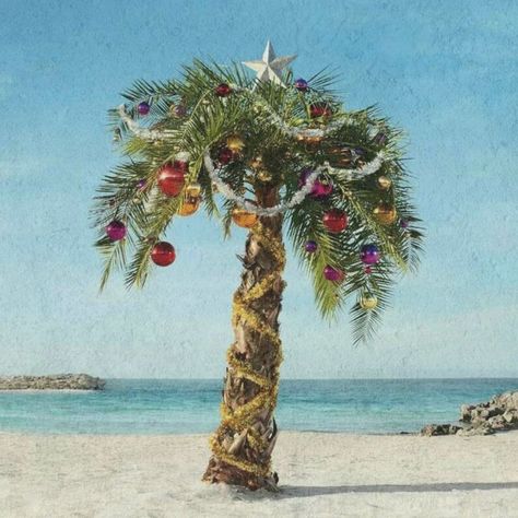 Christmas by the sea 🌊 is where I like to be 💆‍♀️ 🌴 🥥 Wishing everyone a joyous Christmas 🎄 from @dce_cosmetics ✨ Palm Tree Christmas Decorations, Palm Tree Christmas Trees Ideas, Hawaii Christmas Tree, Tropical Christmas Wallpaper, Palm Tree Christmas Trees, Tropical Christmas Aesthetic, Burberry Rebrand, Palm Springs Christmas, Tropical Christmas Tree