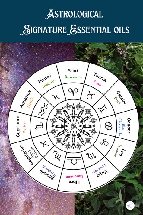 Did you know your zodiac sign can guide your choice of therapeutic essential oils to optimize your health and well-being?Discover a unique approach to self-care that blends the ancient science of astrology and the modern practices of aromatherapy to create a powerful system of health and healing. Astrological Aromatherapy, Zodiac Essential Oils, Ancient Science, What Are Essential Oils, Womens Retreat, Personal Energy, Spiritual Wellness, Best Essential Oils, Aromatherapy Oils