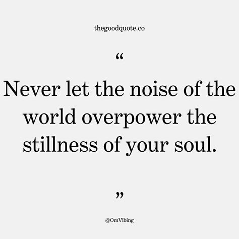 Too much noise pollution  in the world. Noise Quotes, Too Much Noise, Then Sings My Soul, Noise Pollution, World Quotes, Quotes About Everything, True Friends, Beautiful Words, Pollution