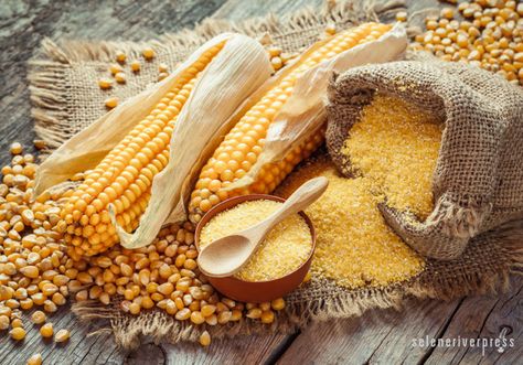 Polenta Fritta, Pork Chop Sandwiches, Instant Grits, Grits Casserole, Spoon Bread, Growing Corn, Gluten Free Cornbread, Dried Corn, Corn Plant