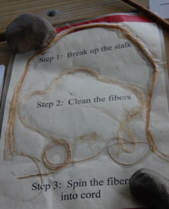 Cordage from Milkweed -- handicraft. Growing Milkweed From Seed, Cross Canadian Ragweed, How To Harvest Milkweed Seeds, Milkweed Fiber, Milkweed Seed Pod, Love Learning, Basket Weaving, Sewing Ideas, American History