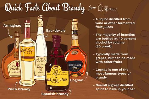 Brandy 101: Characteristics of a Timeless Liquor Brandy Liquor, Grape Brandy, Brandy Sauce, Brandy Cocktails, Grape Uses, Cherry Brandy, Birthday Drinks, Mixed Drinks Recipes, Winter Drinks