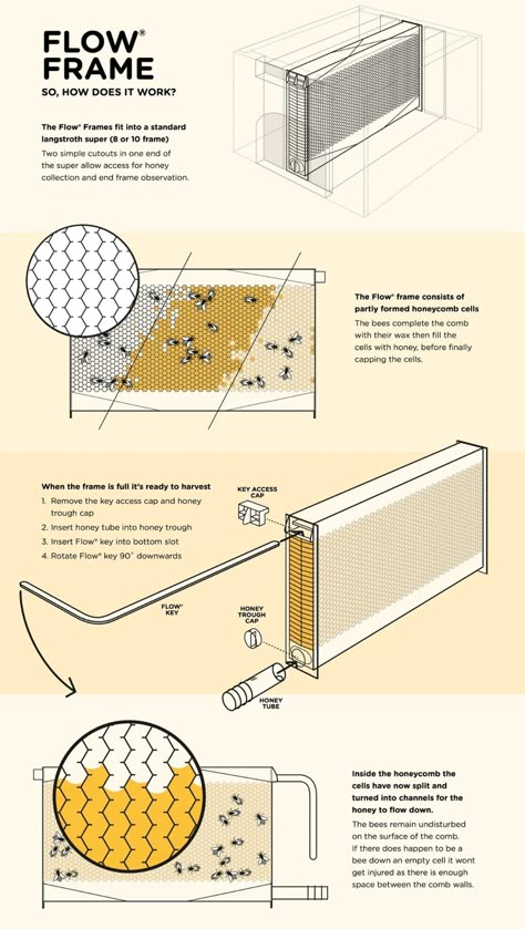 The world’s most innovative beehive makes beekeeping efficient, reduces waste & gets honey on tap! - Yanko Design Bee Diagram, Apiary Design, Bee Hives Boxes, Honey House, Flow Hive, Patio Edging, Beehive Design, Bee Hive Plans, Backyard Bee