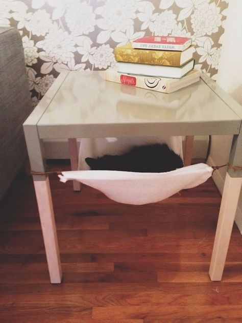 DIY Cat Hacks - Create An Under Table Cat Hammock - Tips and Tricks Ideas for Cat Beds and Toys, Homemade Remedies for Fleas and Scratching - Do It Yourself Cat Treat Recips, Food and Gear for Your Pet - Cool Gifts for Cats #cathacks #cats #pets Cat Diys, Diy Jouet Pour Chat, Fury Family, Cat Humour, Cat Table, Dorms Decor, Diy Chat, Flea Remedies, Chat Diy