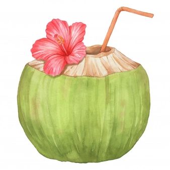 Hibiscus Watercolor, Coconut Drink, Summer Icon, Premium Vector, Hibiscus, Watercolor Painting, Coconut, Fox, Pink