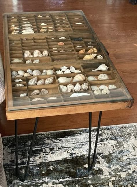 Display Beach Rocks, Display Case Coffee Table, Shadowbox Coffee Table, Shell Coffee Table, Collage Table, Seashell Table, Ancient Artifacts Prehistoric, Trinket Shelf, Raw Gemstones Rocks