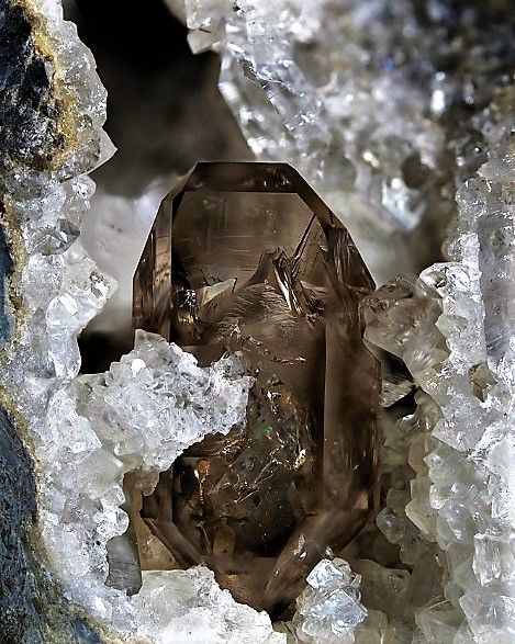 Crystal Aesthetic, Pretty Rocks, Minerals And Gemstones, Panel Art, Raw Gemstones, Gems And Minerals, Smokey Quartz, Crystal Gems, Crystals Minerals