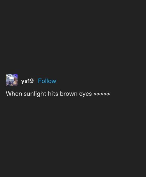 Captions About Brown Eyes, Brown Eyes In The Sun Quotes, Beautiful Brown Eyes Quotes, Sunlight Aesthetic Captions, Caption For Brown Eyes, His Brown Eyes Quotes, Sunlight Aesthetic Quotes, Brown Eyes Quotes Aesthetic, Hazel Eyes Quotes