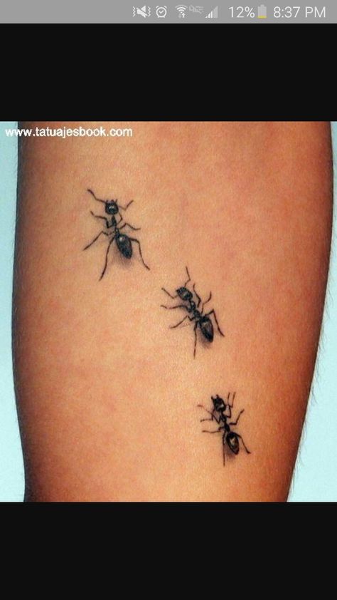 Tato 3d, Ant Tattoo, Tier Tattoo, Bug Tattoo, Insect Tattoo, 3d Tattoos, Tattoo Bracelet, 3d Tattoo, Aesthetic Tattoo