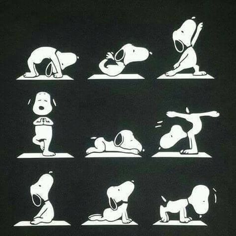 Snoopy Yoga Peanut Gang, Snoopy Halloween, Peanuts Cartoon, Snoopy Quotes, Snoopy Pictures, Snoop Dog, Snoopy Friends, Charlie Brown Snoopy, Snoopy And Friends