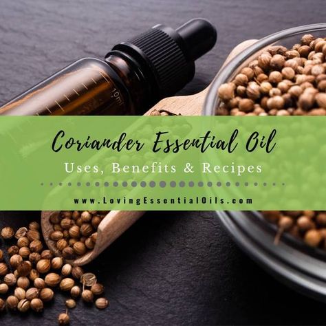 Modern life can be exhausting, let coriander essential oil sooth you after a taxing day. This unique oil has an herbal aroma that is calming and uplifting. It is good for skin, body and relaxation. Coriander comes from the same plant that produces cilantro essential oil. Coriander oil is steam... Essential Oils Uses, Cilantro Oil, Coriander Essential Oil, Coriander Oil, Homemade Body Wash, Essential Oil Safety, Oil Diffuser Recipes, Essential Oil Benefits, Diffuser Recipes