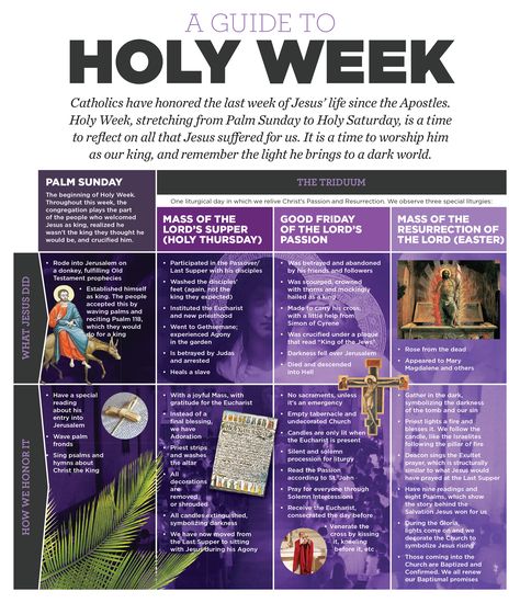 Infographic: A guide to Holy Week - Denver Catholic Holy Week Activities, Catholic Lent, Liturgical Calendar, Holy Thursday, Holy Saturday, Catholic Beliefs, Lenten Season, Liturgical Seasons, Faith Formation