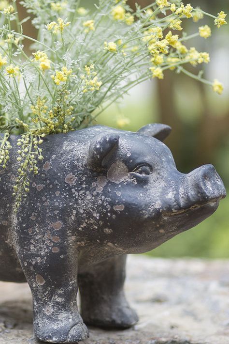 This little piggy planter measures 7"W x 17"D x 8"H. #pigplants #piggyplant #plantforpig Fall Outdoor Planter Ideas, English Cottage Farmhouse, Vegetable Garden Plans, Pig Planter, Farmhouse Garden Decor, Garden Animal Statues, Outdoor Planter Ideas, French Cottage Decor, Large Outdoor Planters