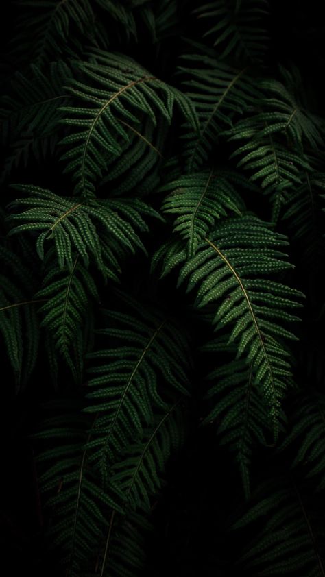 Dark Greenery, Greenery Iphone Wallpaper, Greenery Background Wallpaper, Leaf Wallpaper Aesthetic, Plant Background Aesthetic, Plant Wallpaper Iphone, Greenery Wallpaper Nature, Fern Green Aesthetic, Vines Background Aesthetic