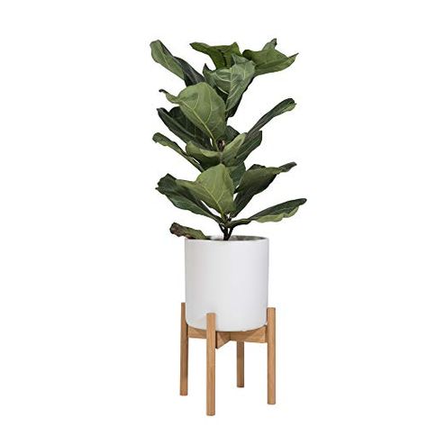 Sona Home Adjustable Mid Century Plant Stand, 3 Sizes, 3 Colors - Modern Plant Stand Indoor Outdoor, Planter Stand On... Danish Pastel Room Ideas, Anti Mosquito Plants, Office Landscaping, Black Plant Stand, Plant Holders Indoor, Flower Pots Indoor, Mid Century Plant Stand, Mid Century Plants, Century Plant