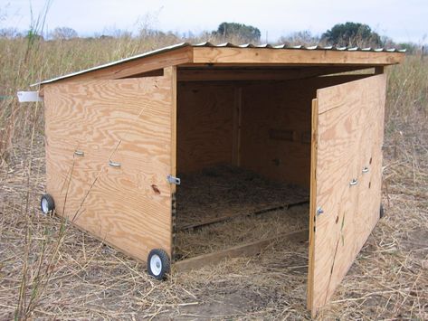 Easy Goat Shelter Diy, Goat Shed Ideas Simple, Goat Platform Ideas, Movable Goat Shelter, Portable Goat Shelter, Hay Storage Ideas, Diy Goat Shelter, Cow Shelter, Goat Housing