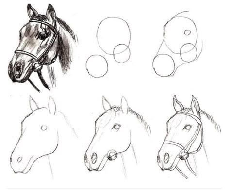 Horse Drawing Tutorial, Horse Art Drawing, Horse Sketch, Animal Drawings Sketches, Horse Drawing, Horse Drawings, Pencil Art Drawings, Animal Sketches, Horse Painting