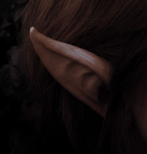 Druidess Aesthetic, Elf Druid Aesthetic, Ranger Aesthetic Dnd Female, City Elf Aesthetic, Feylost Dnd, Fey Aesthetic Dnd, Pointy Ears Aesthetic, Bosmer Aesthetic, Halsin Bg3 Aesthetic