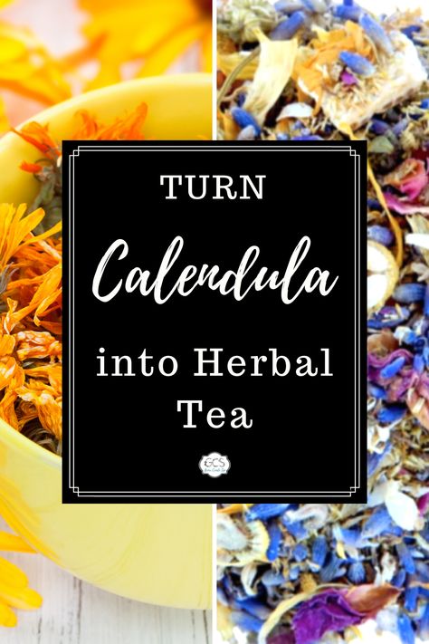 Calendula Tea Blends, Dried Calendula Uses, Calendula Tea, Tea Blends Recipes, Hair Tea, Dried Orange Peel, Medicinal Tea, Sun Tea, Calendula Flower