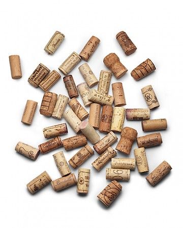 Slice a cork into disks and attach them to the bottom of a planter to allow drainage or to the saucer to protect surfaces. Bathroom Organizing Ideas, Plants 101, Recycling Projects, Cork Projects, Wine Bottle Corks, Coarse Salt, Bottle Corks, Domestic Goddess, Wine Corks